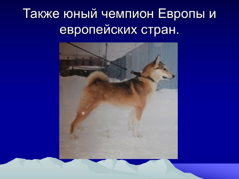 Также юный чемпион Европы и европейских стран.